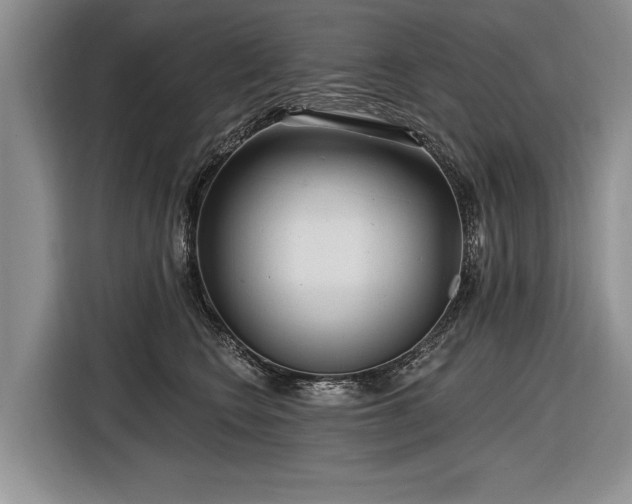 X0000116890566200912221456