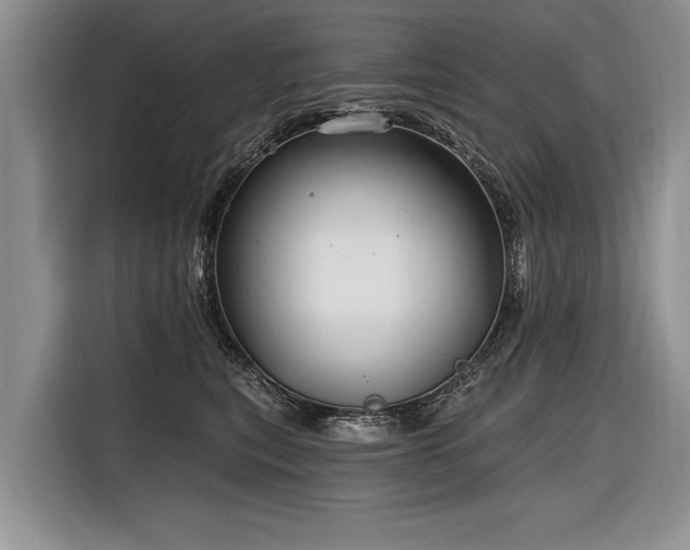 X0000116890567200912221456