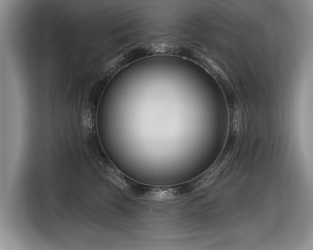 X0000116890569200912221456