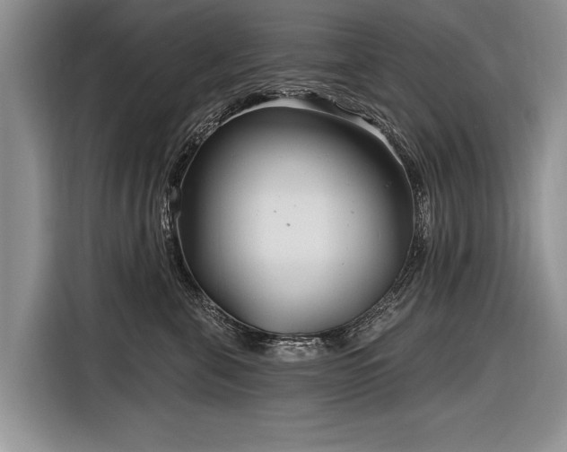 X0000116890571200912221456