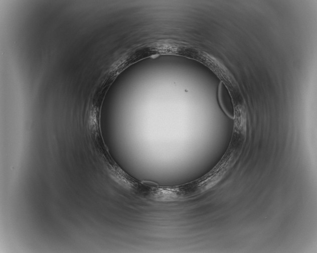 X0000116890573200912221456