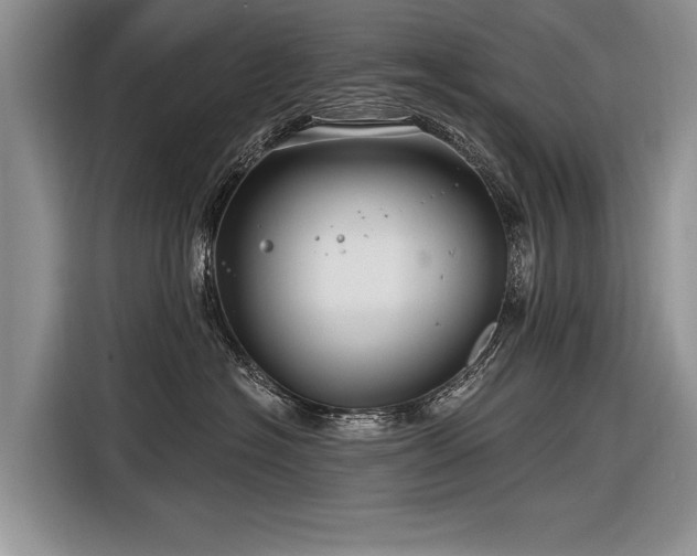 X0000116890574200912221456