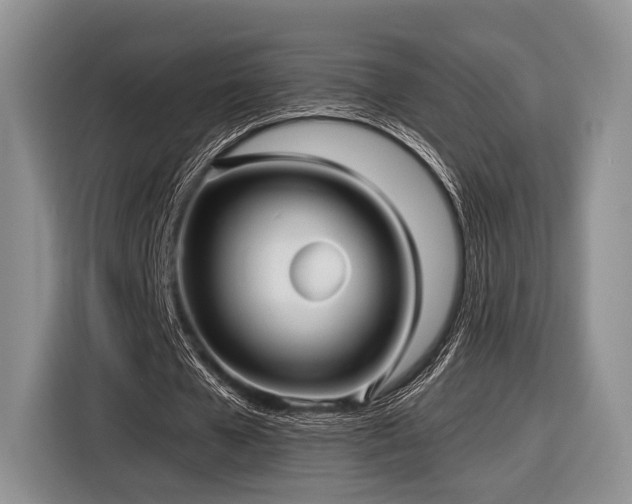X0000116890577200912221455