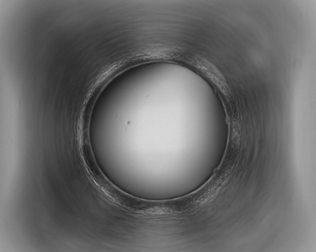 X0000116890578200912221455