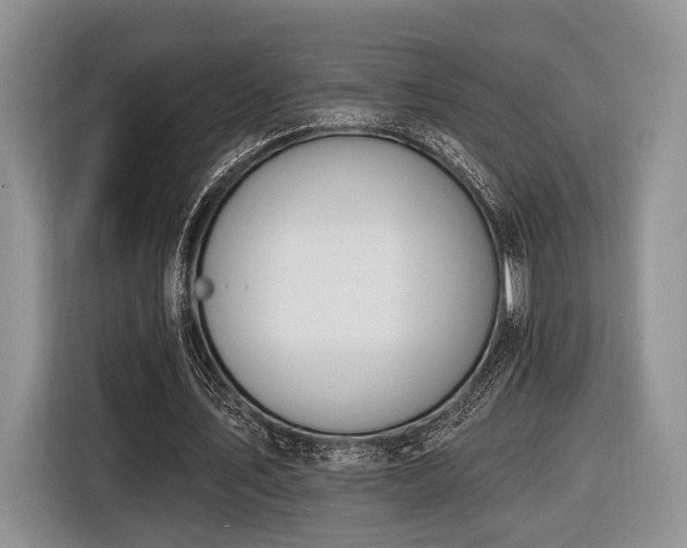 X0000116890579200912221455