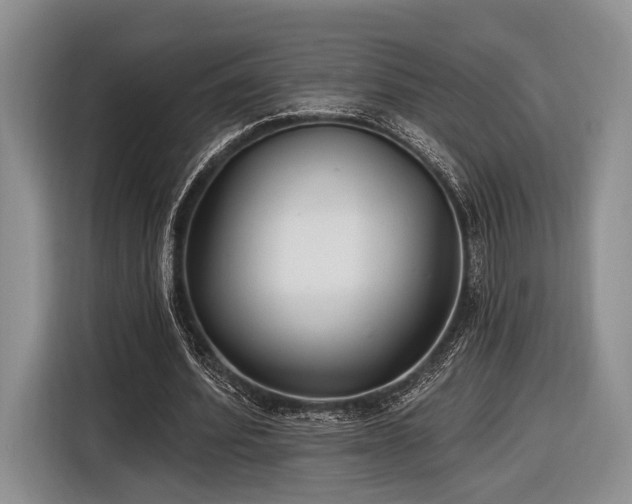 X0000116890580200912221455