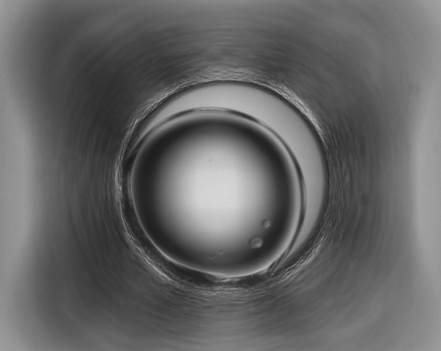 X0000116890581200912221455