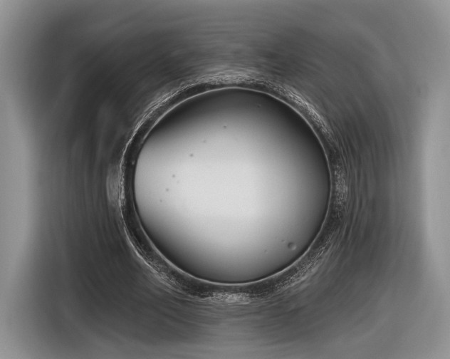 X0000116890582200912221455