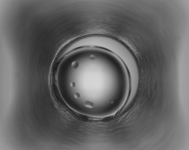 X0000116890583200912221455