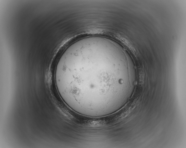 X0000116890584200912221455