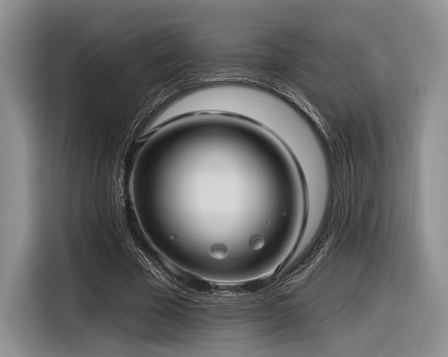 X0000116890585200912221455