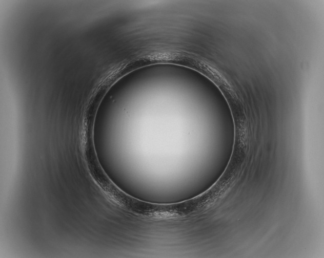 X0000116890586200912221455
