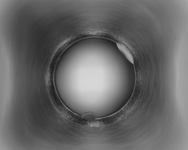 X0000116890587200912221455