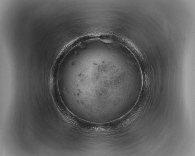 X0000116890588200912221455