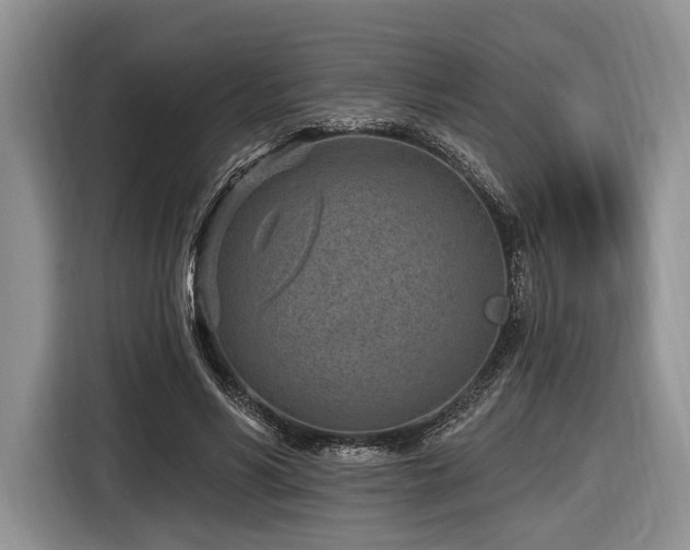 X0000116890590200912221455