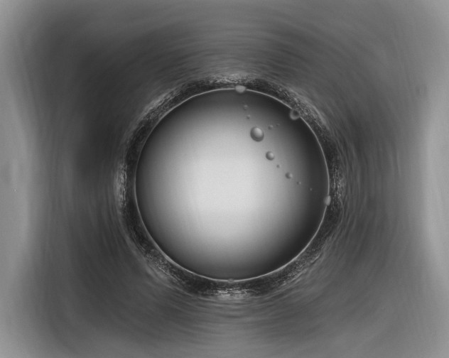 X0000116890591200912221455