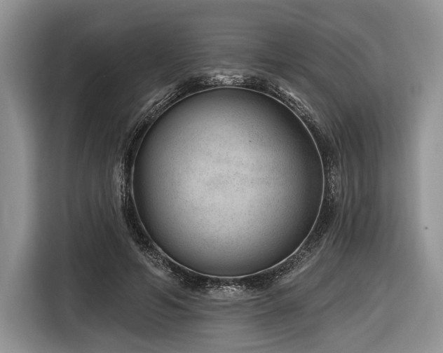 X0000116890594200912221455