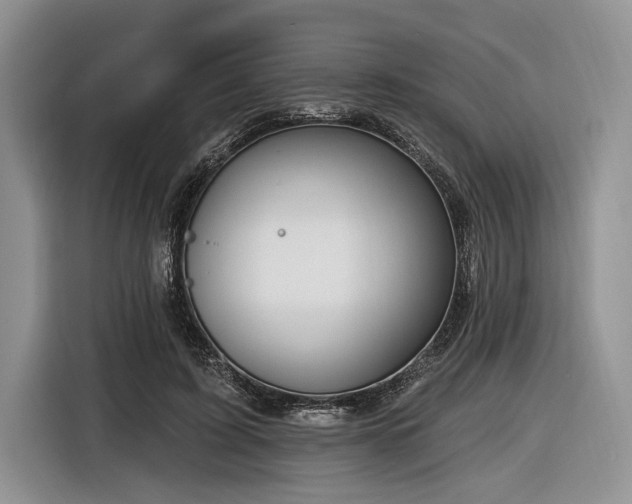 X0000116890595200912221455