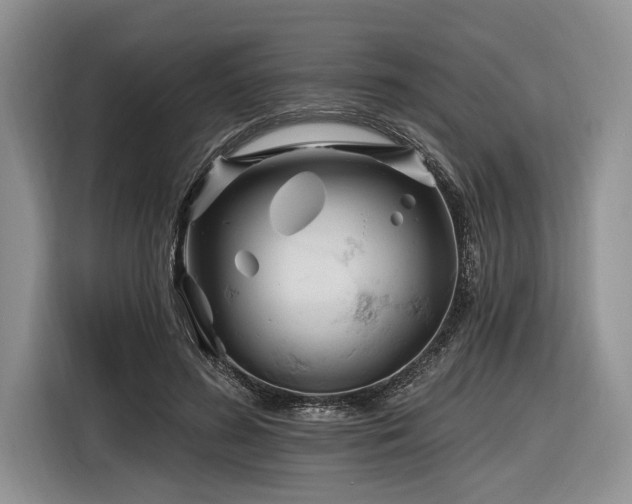 X0000116890596200912221455