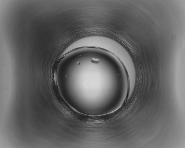 X0000116890597200912221455