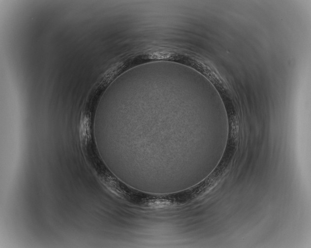 X0000116890598200912221455