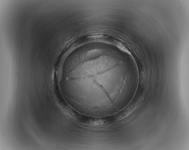 X0000116890600200912221455