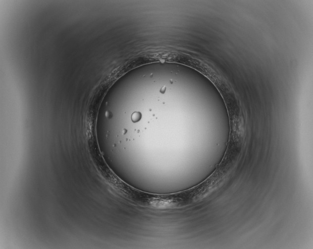 X0000116890602200912221455