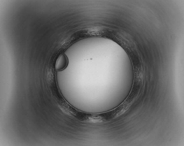 X0000116890603200912221455