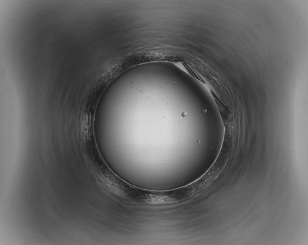X0000116890605200912221455