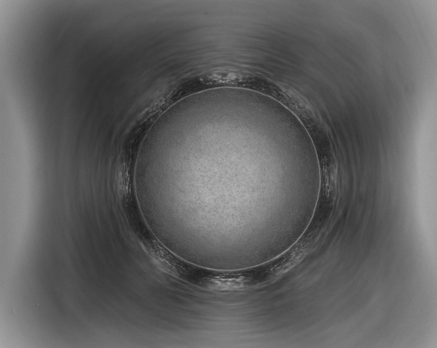 X0000116890606200912221455
