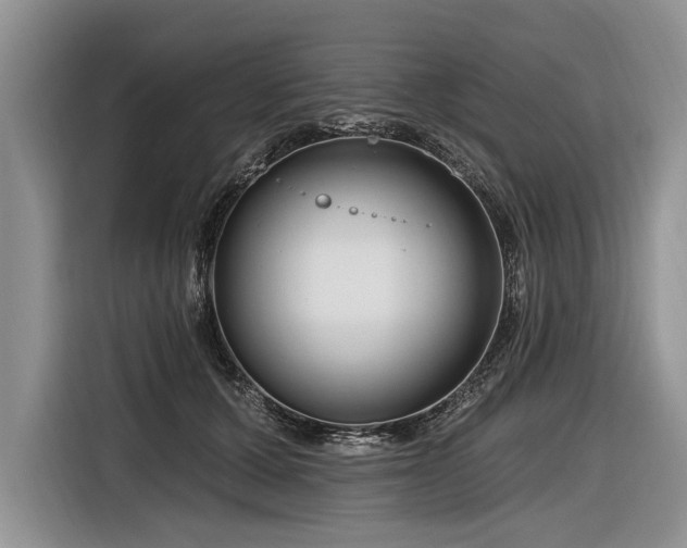 X0000116890607200912221455