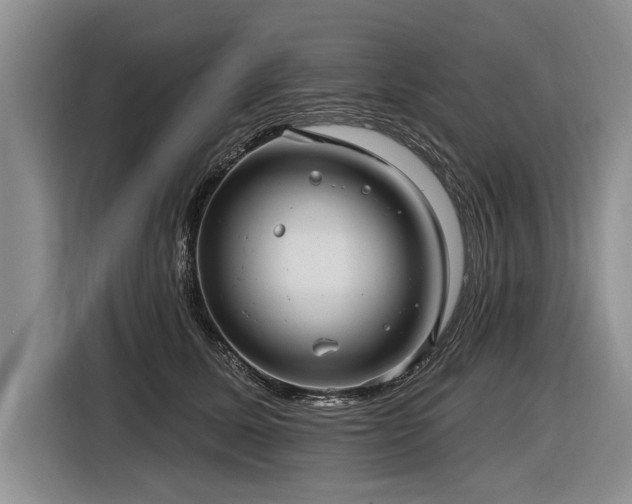 X0000116890611200912221455