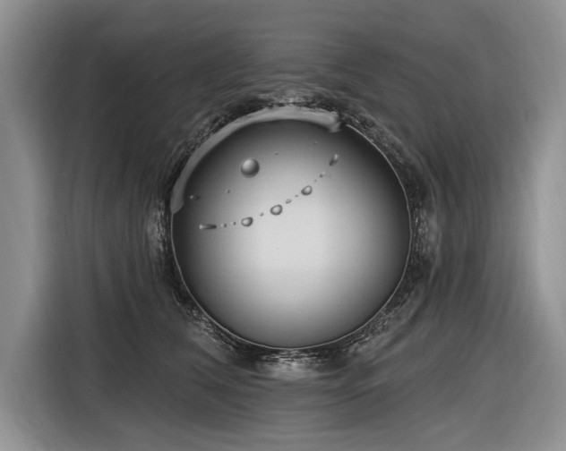 X0000116890612200912221455