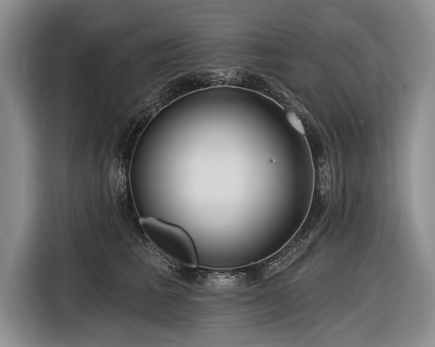 X0000116890613200912221455
