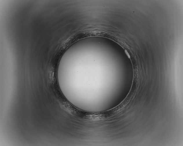 X0000116890615200912221455