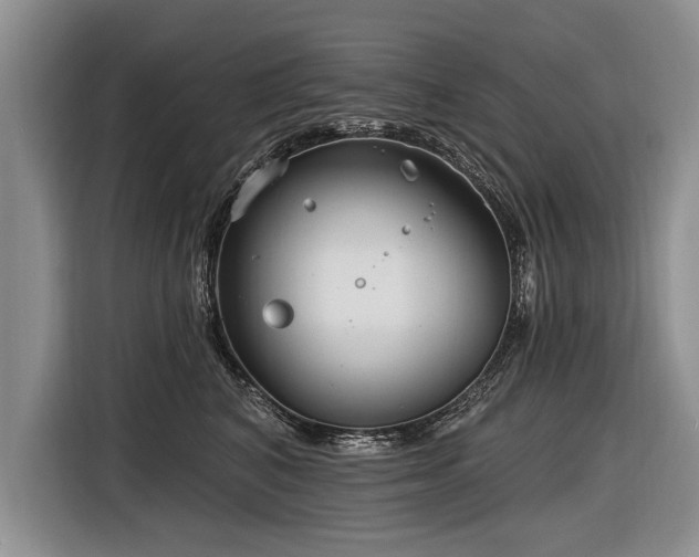 X0000116890616200912221455