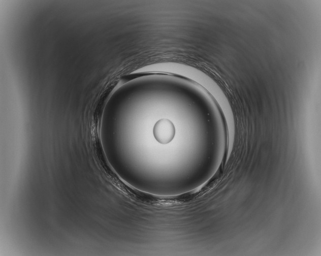 X0000116890617200912221455