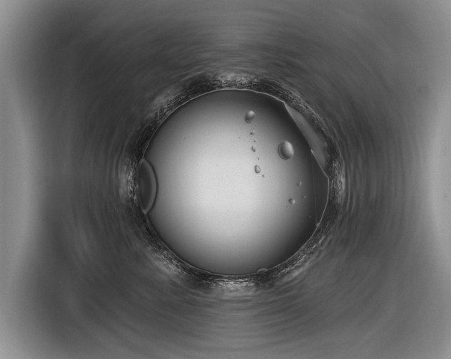 X0000116890619200912221454