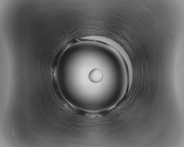 X0000116890621200912221454