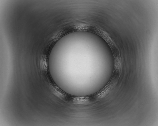 X0000116890622200912221454