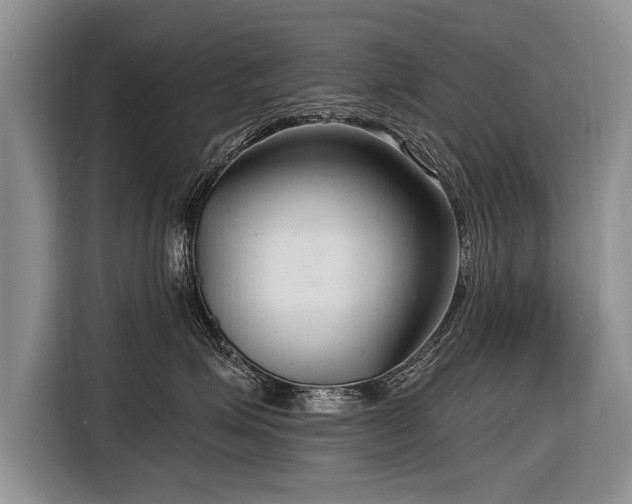 X0000116890623200912221454