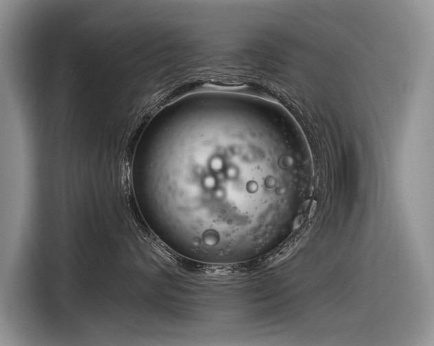 X0000116890624200912221454