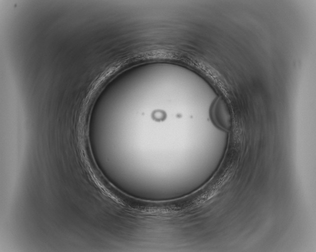 X0000116890625200912221454