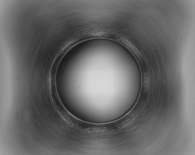 X0000116890626200912221454