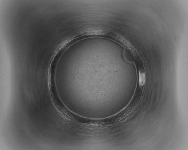 X0000116890627200912221454