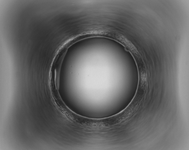 X0000116890628200912221454