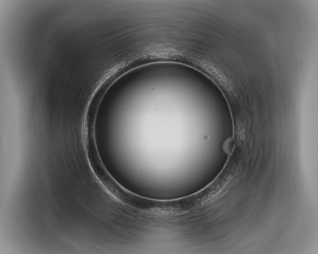 X0000116890630200912221454