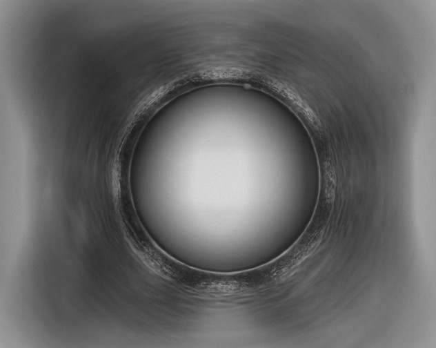X0000116890631200912221454
