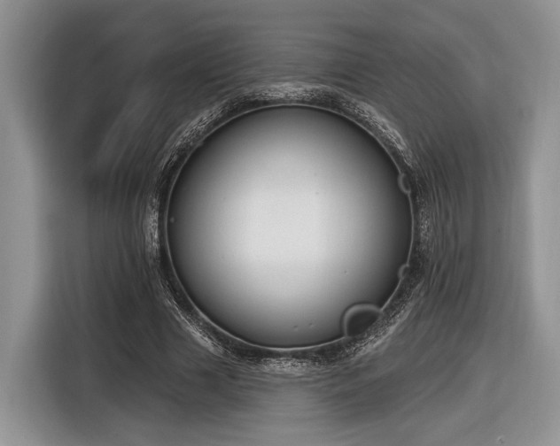 X0000116890633200912221454