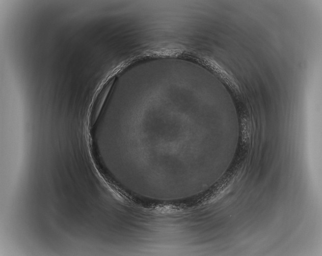 X0000116890634200912221454
